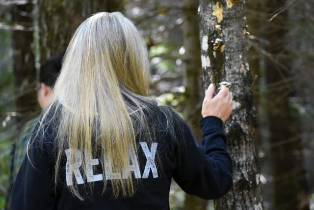 Wisconsin's first certified forest bathing trail helps residents reset and find balance